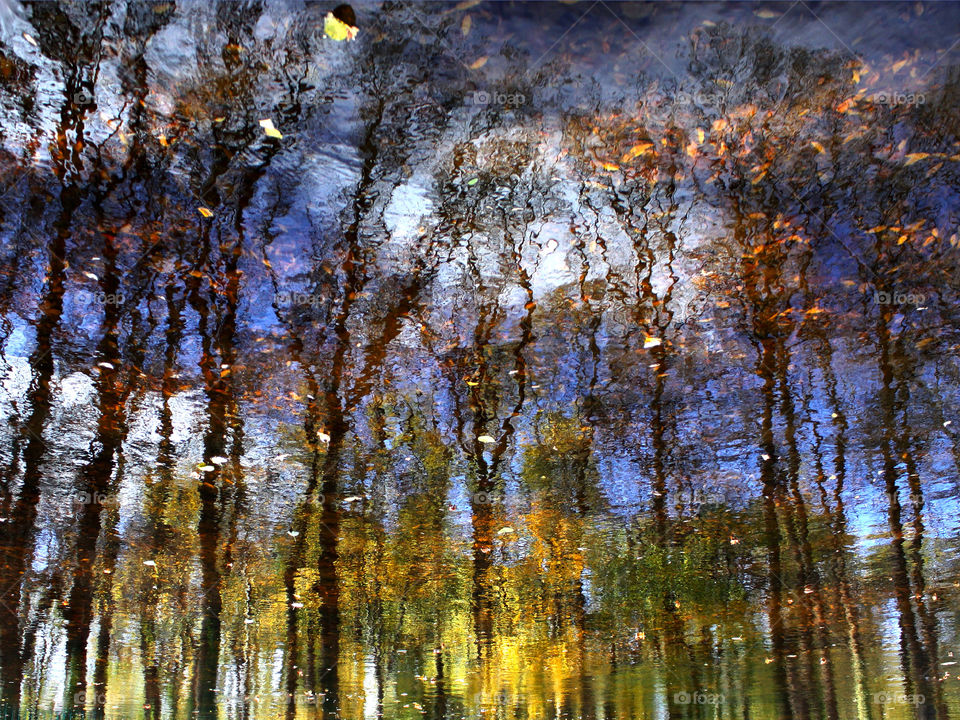 Water reflections, autumn trees