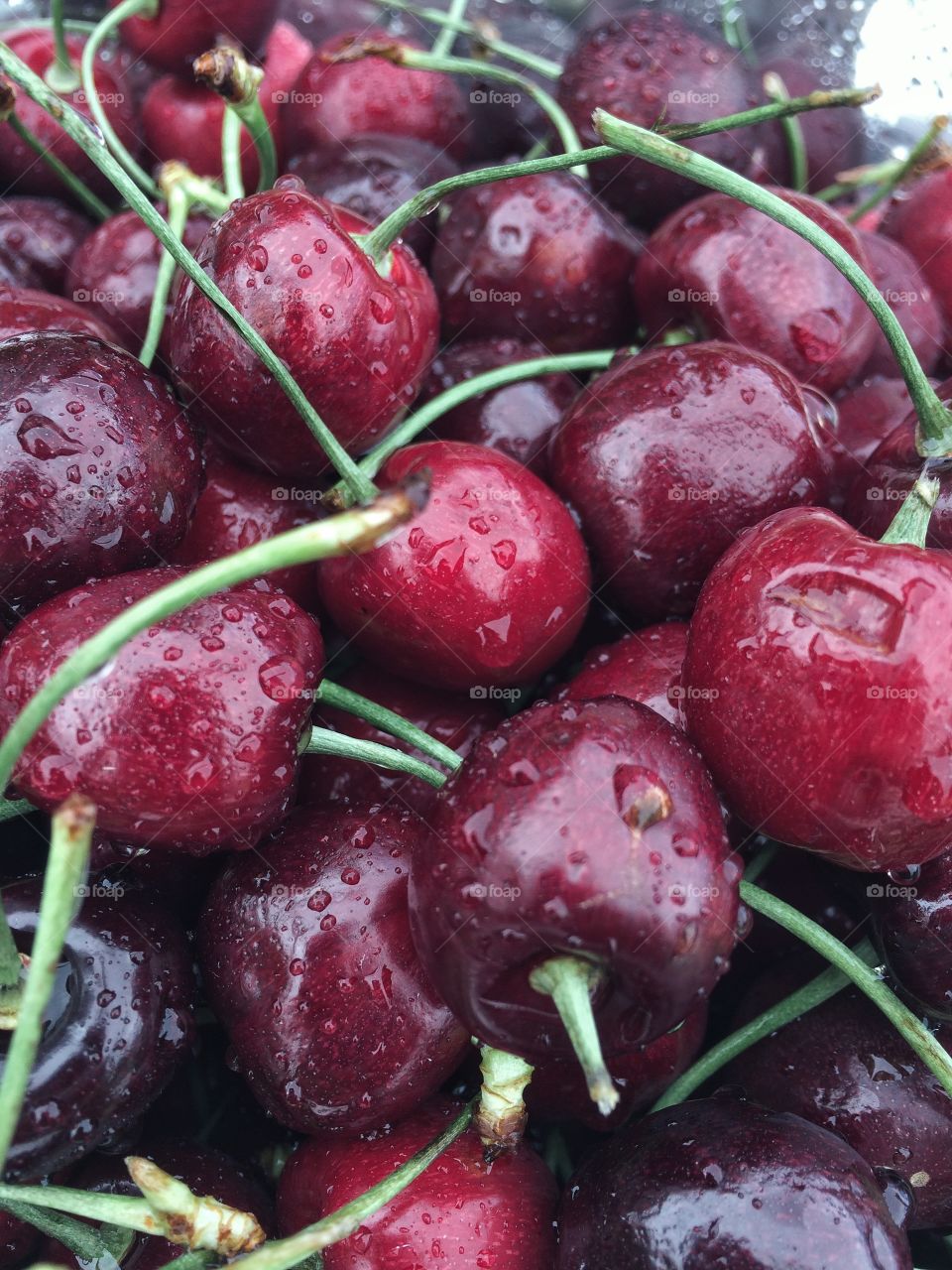 Close up of washed cherries 