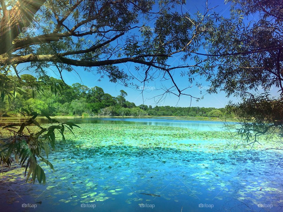 Lakeside view
