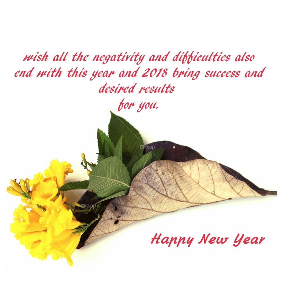 Happy New year foap friends....wish you a great year.....