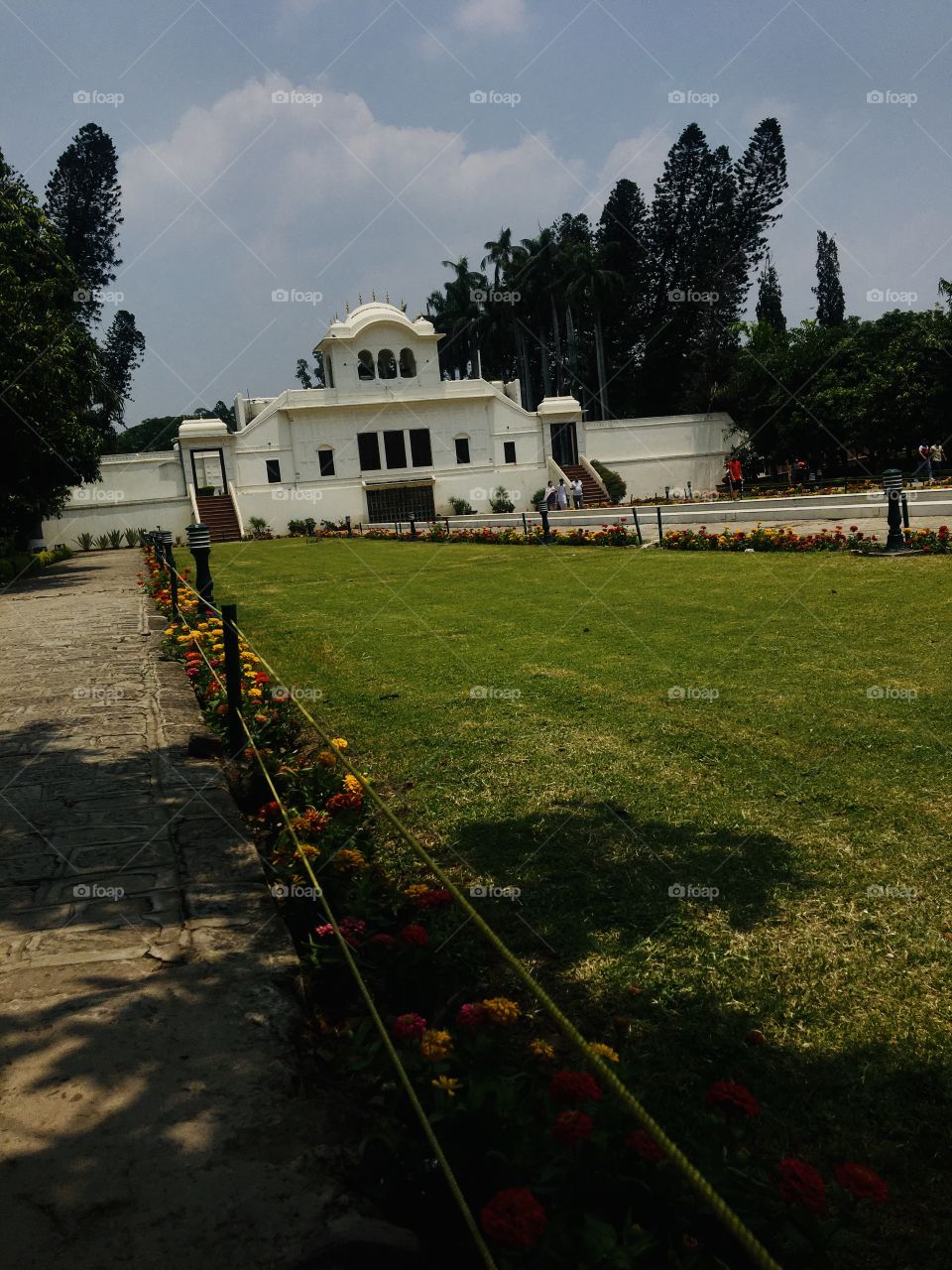 Shadows of trees at Pinjore garden Chandigarh India 🇮🇳