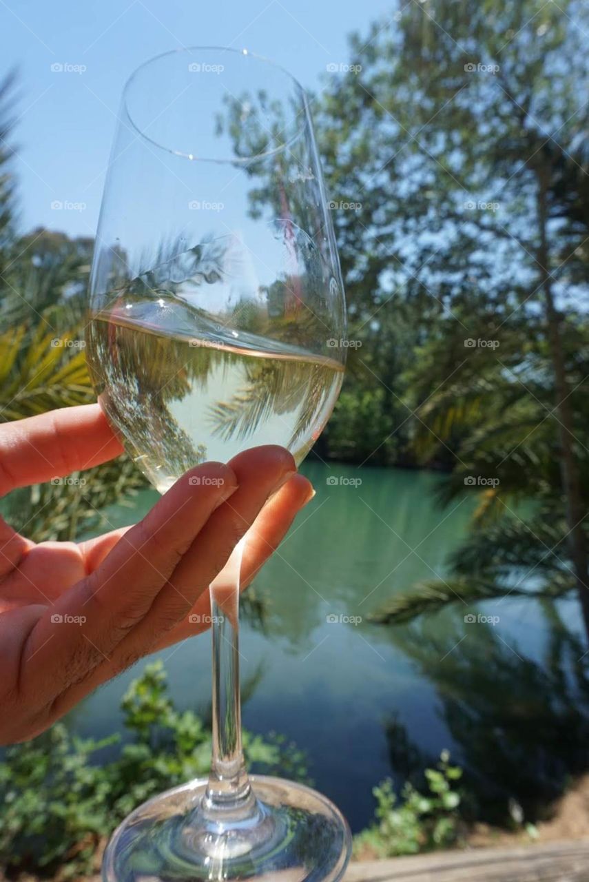 Wine#glass#lake#hand#nature