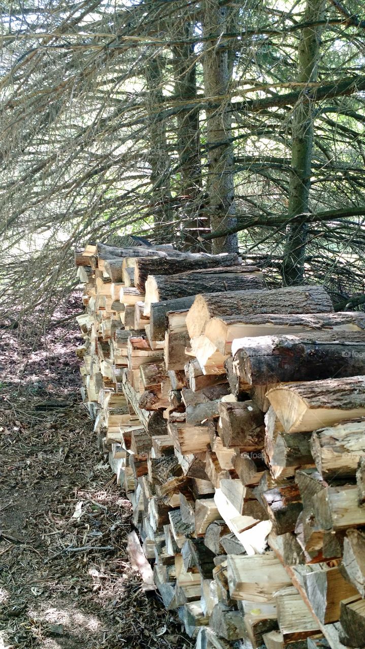 stacked wood