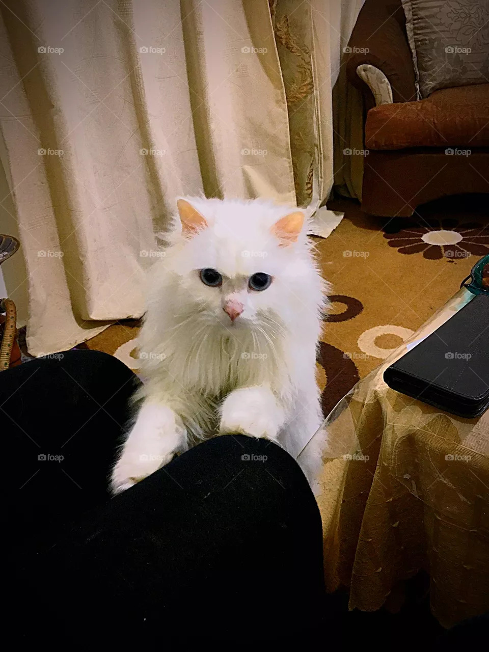He is eager to eat