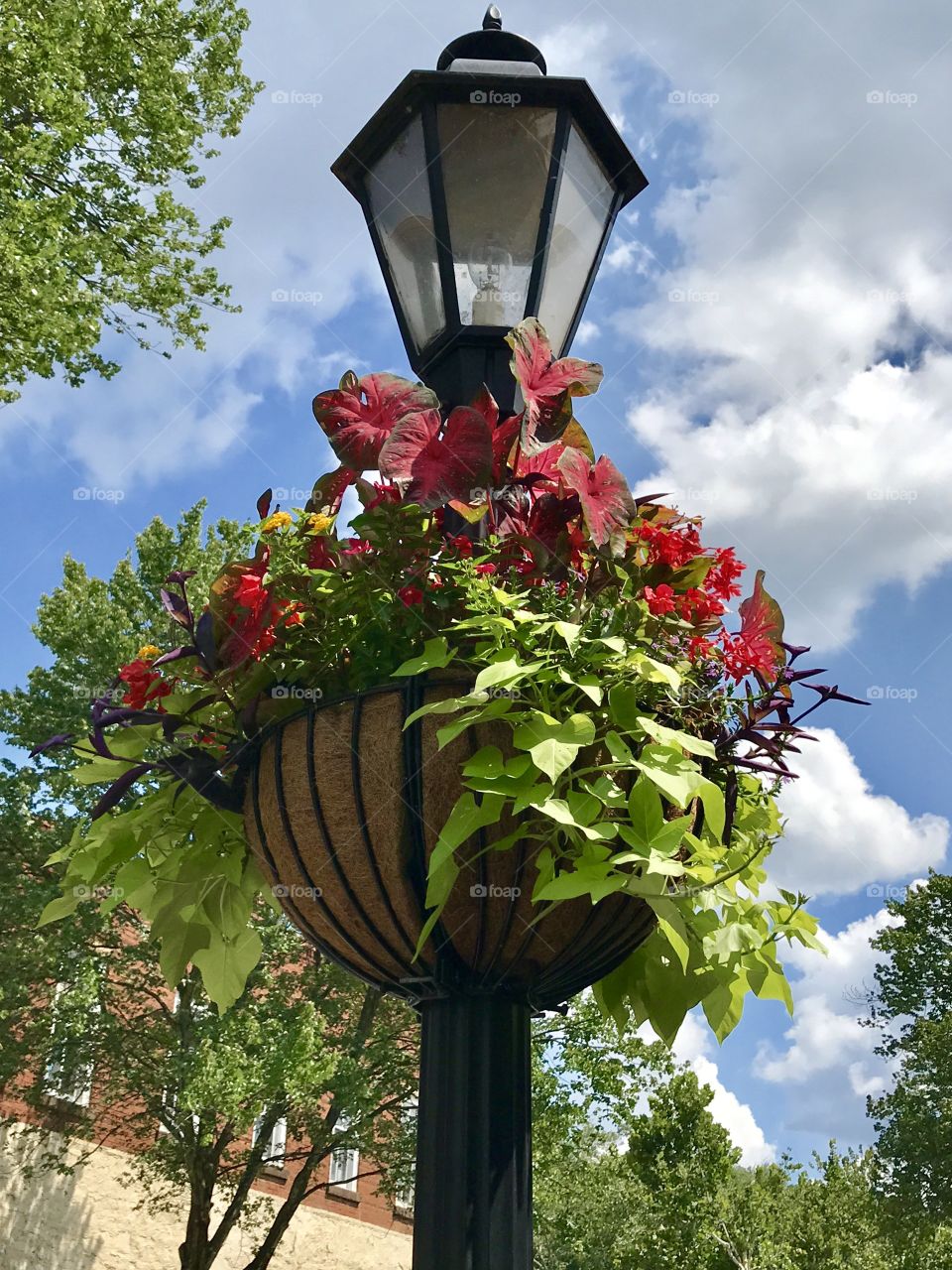 Bright colorful flower basket and a vintage street light 