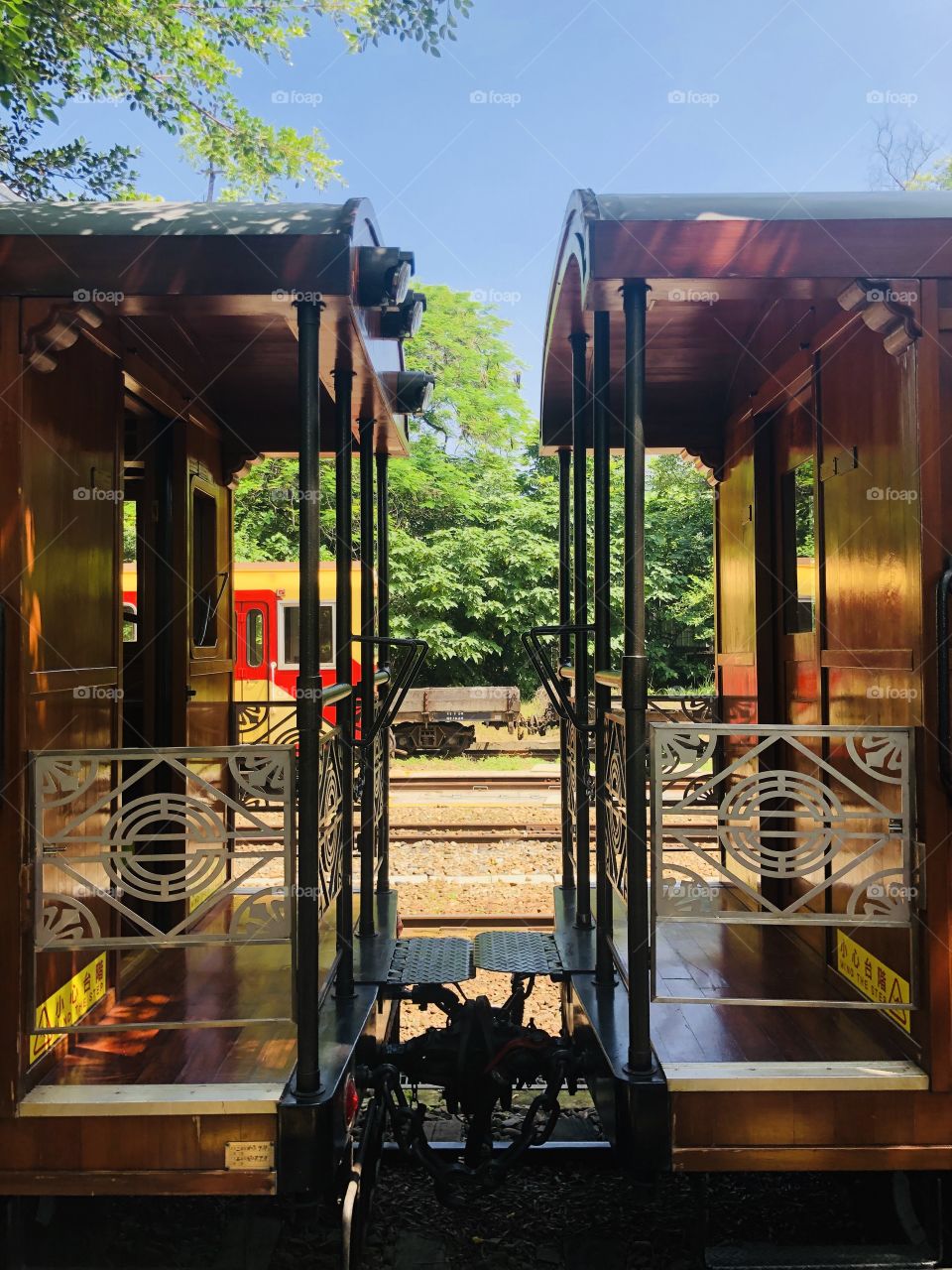 Taiwan Cypress Train