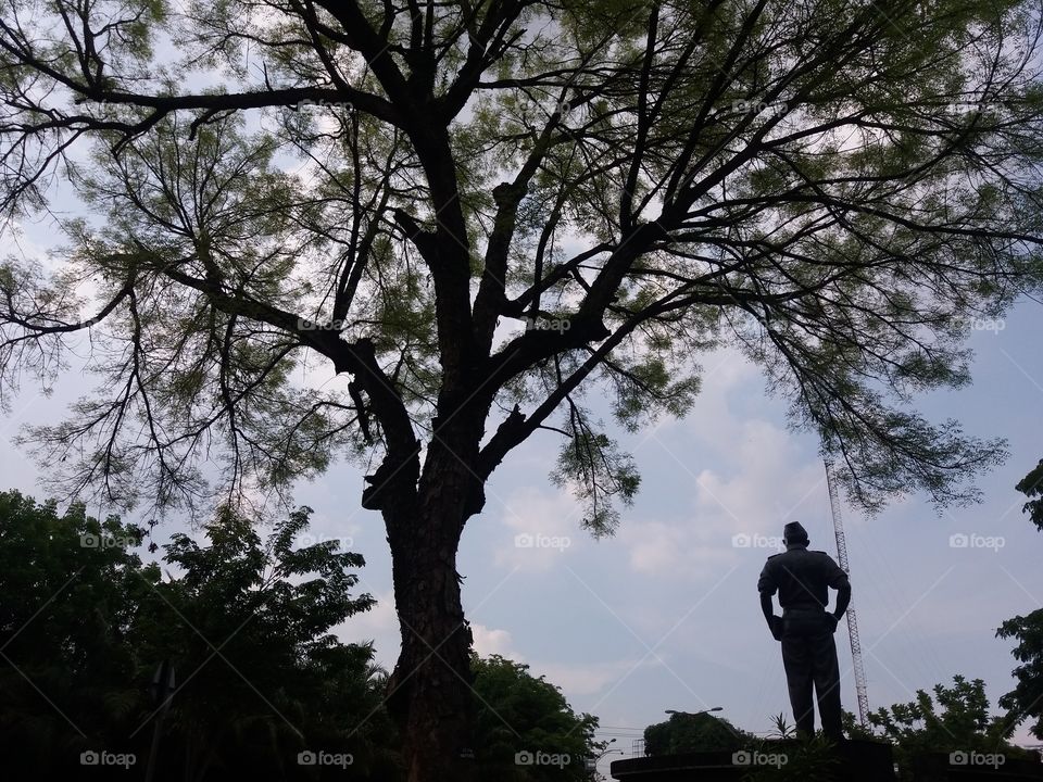 Tree branches