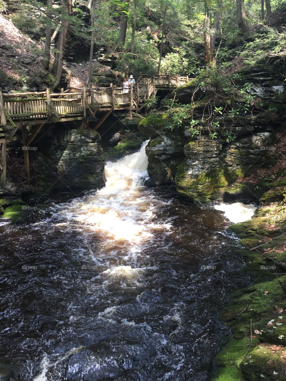 Water, Waterfall, Stream, Wood, River