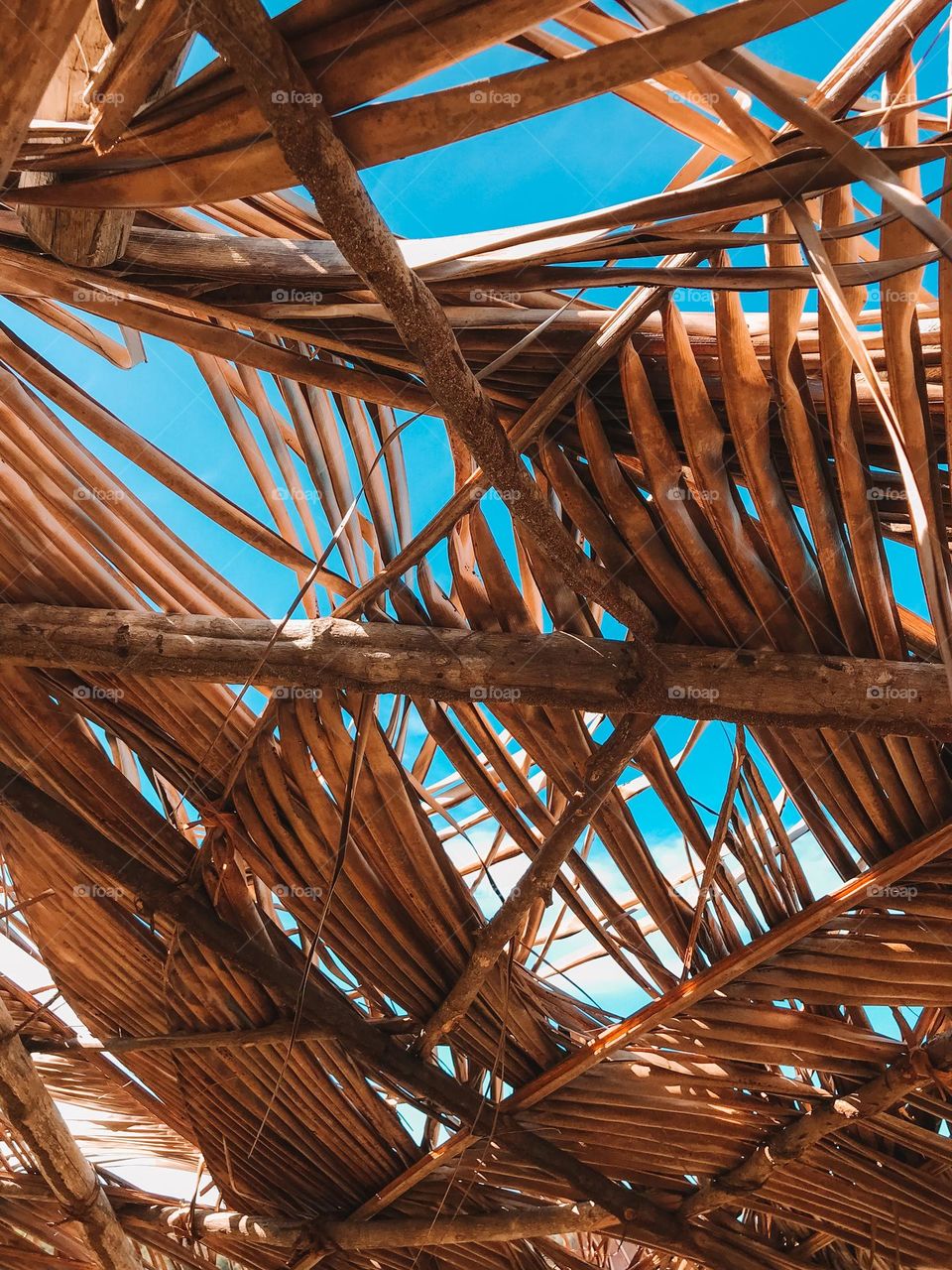 This is the beautiful beaches of cumuruxatiba bahia brasil, a fishing village located in the extreme south of bahia