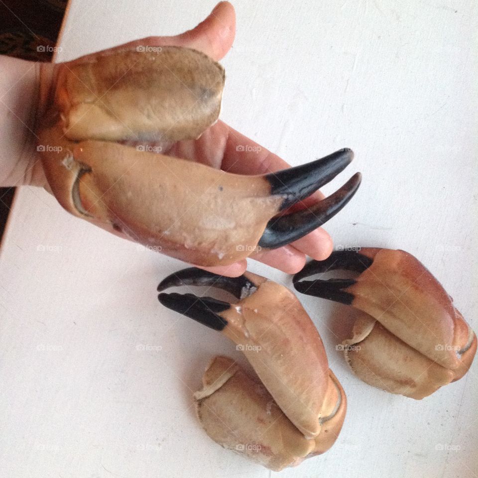 Irish crab claws