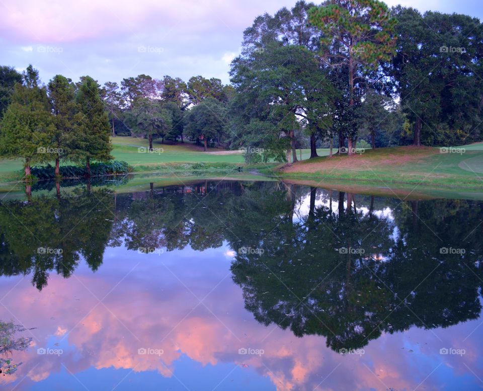 No Person, Tree, Landscape, Water, Lake