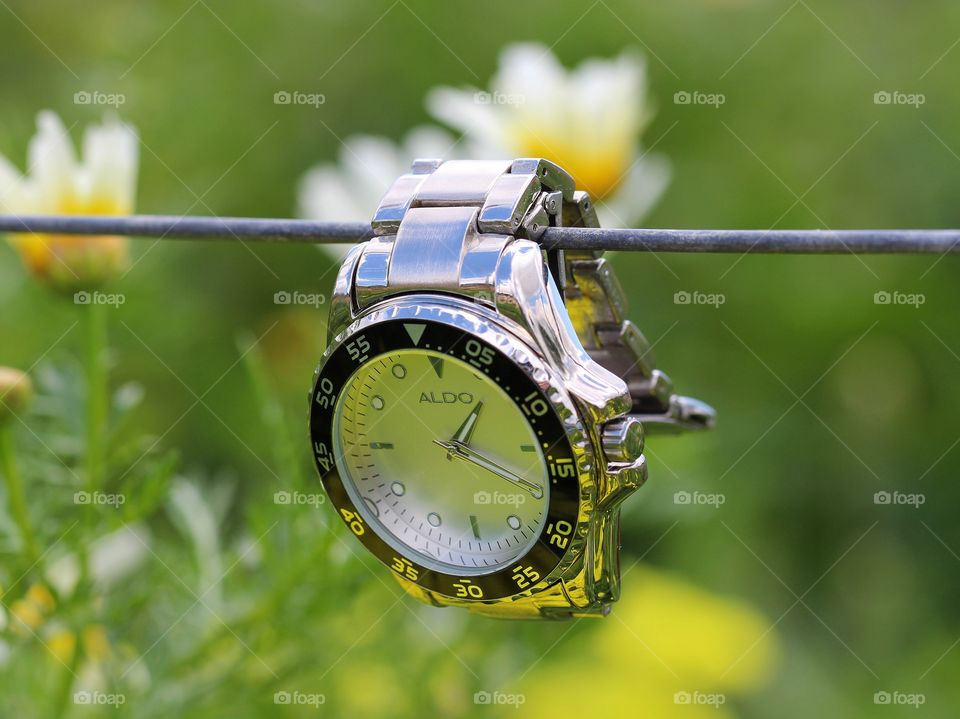 Macro watch hugging out