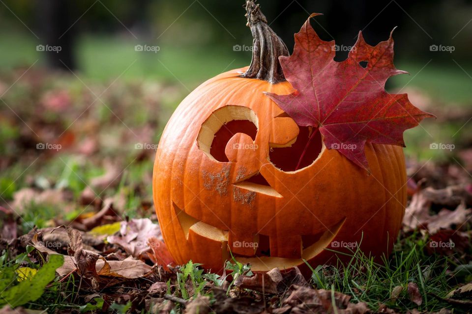 Cute Jack-o-lantern with a red maple leaf