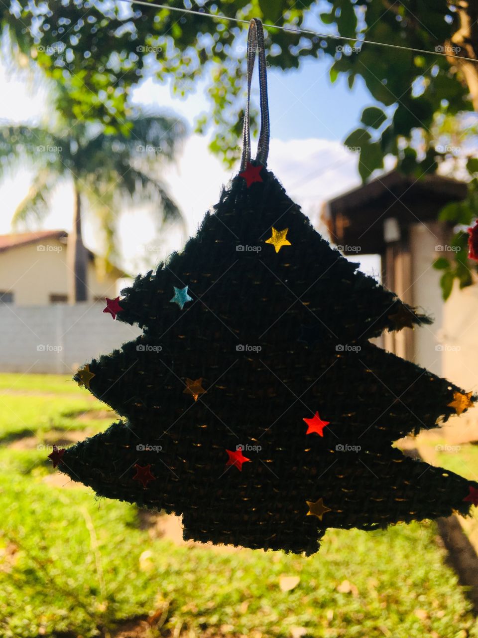 É Natal! Olhem aí as estrelas da árvore que enfeita o nosso jardim. Simples e bonita. 