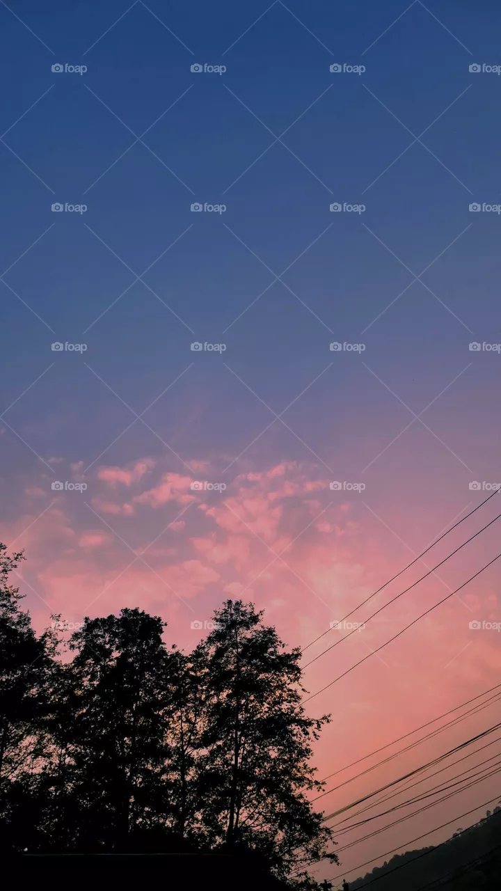 Sky is pink