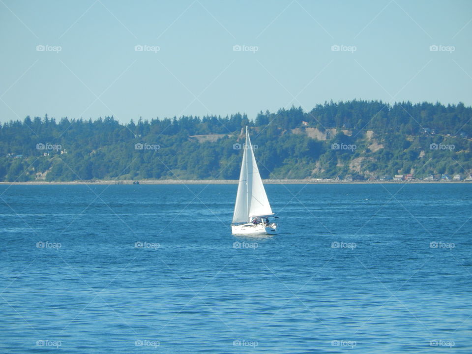 Water, Sailboat, Watercraft, Sea, Sail