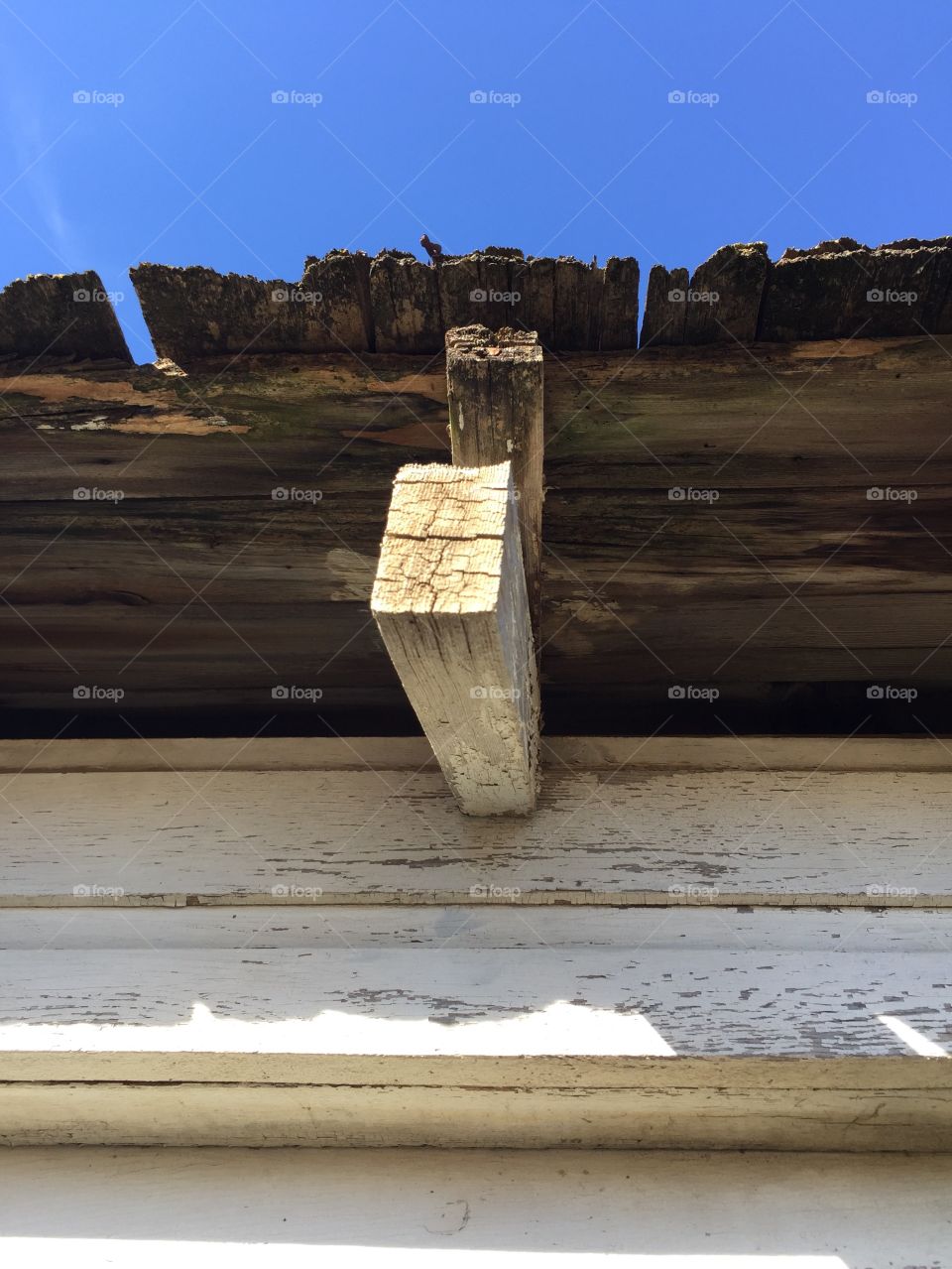 Minimalistic Snaps - shed roof overhang 