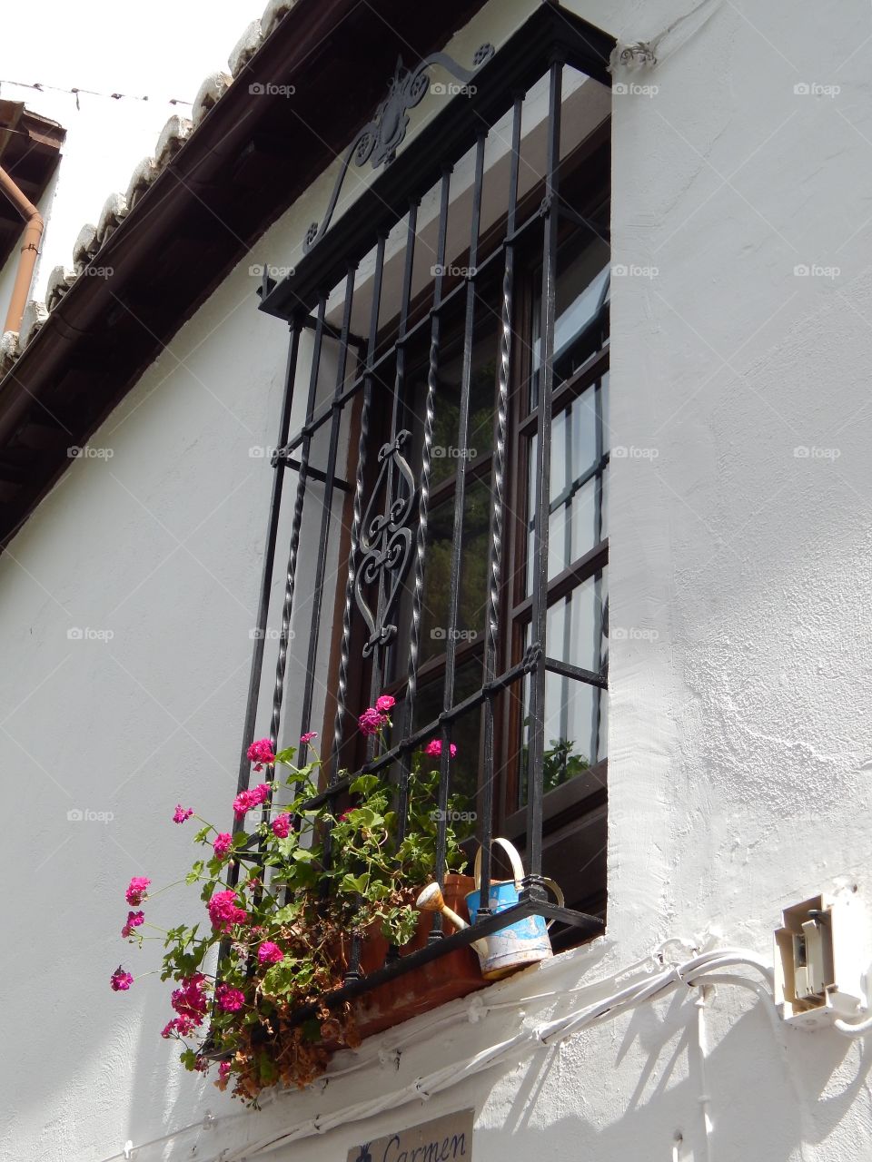 Barred window with flowers in Granada, Spain