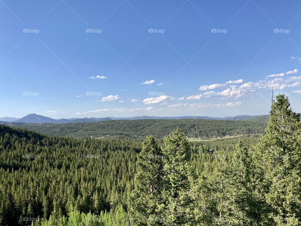 Look Out in Colorado 