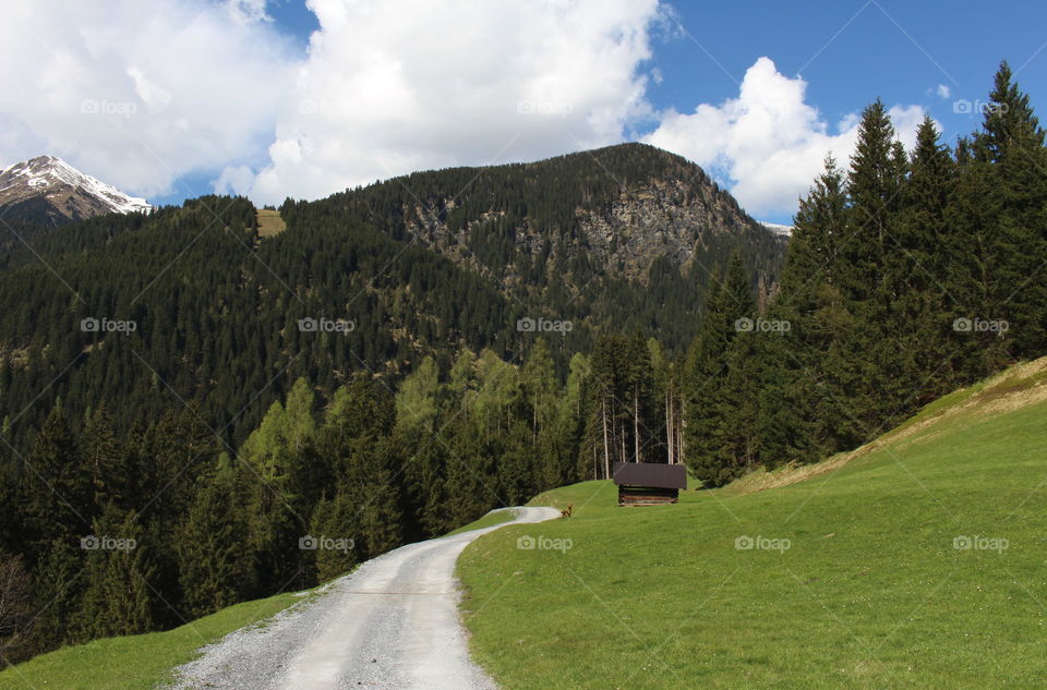 Austrian landscape.