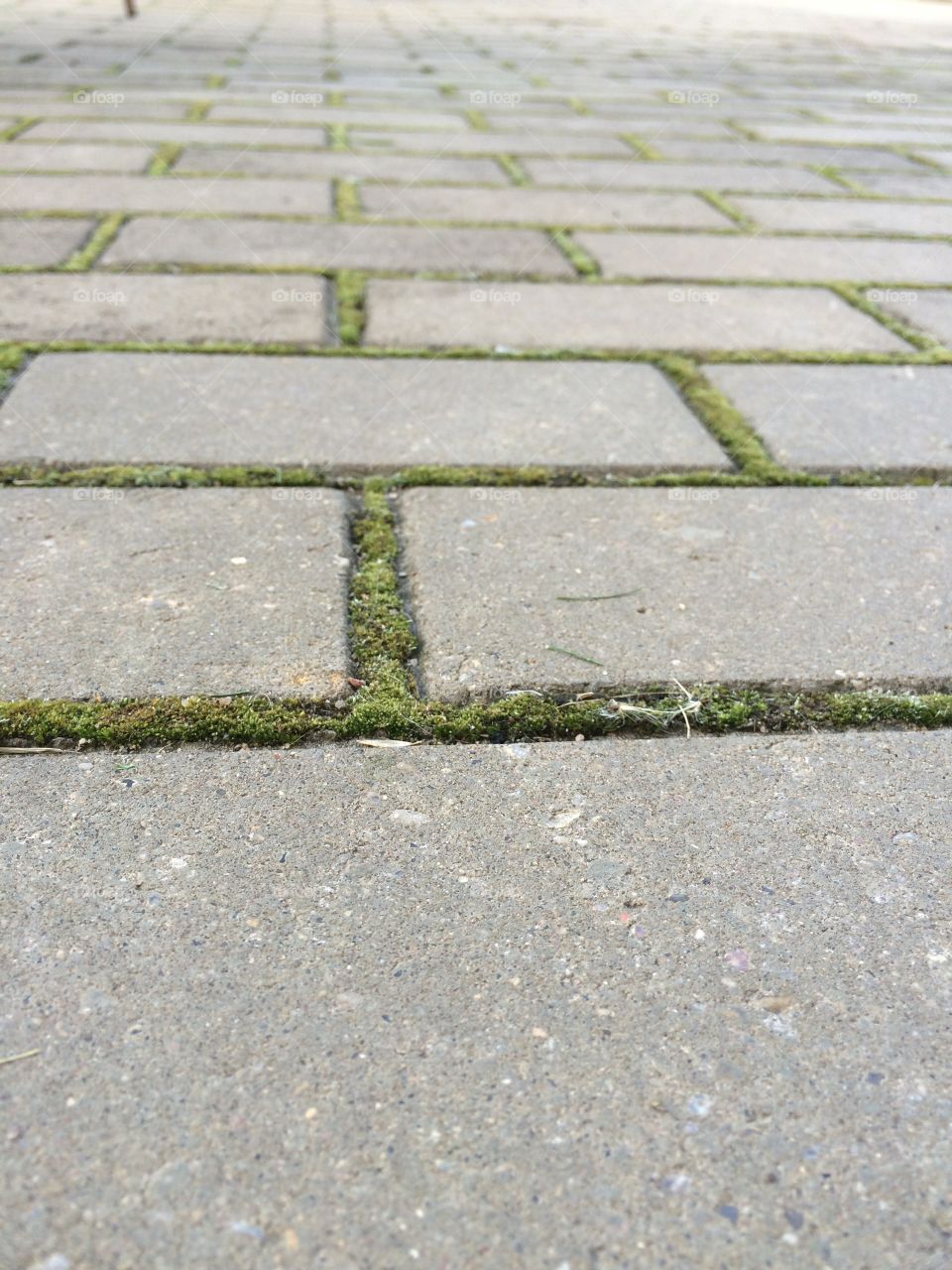 Pavement. City around and pavement underfoot