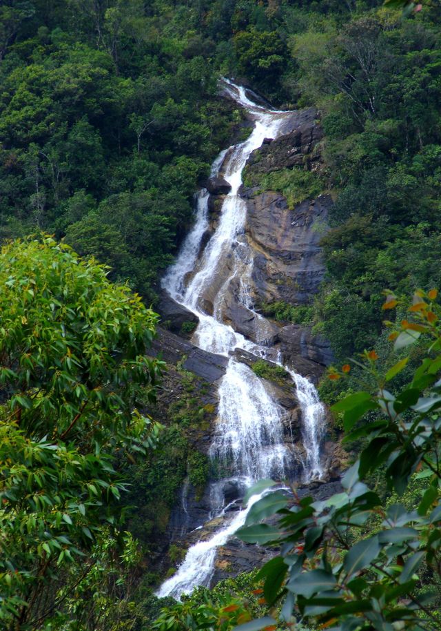 Waterfall in forest