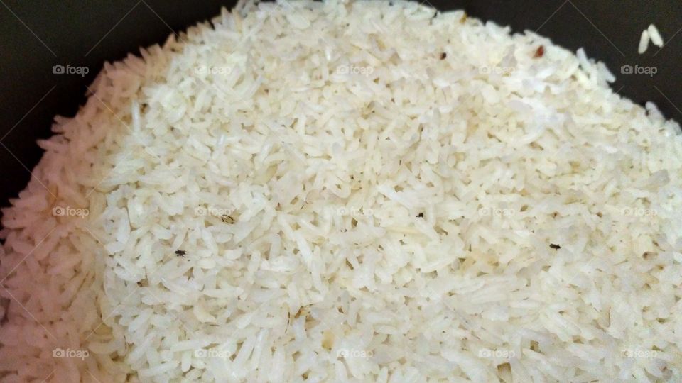 Rice in a rice cooker
