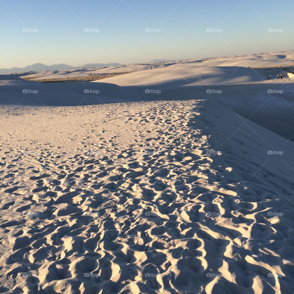 Put prints at White Sands national Monument