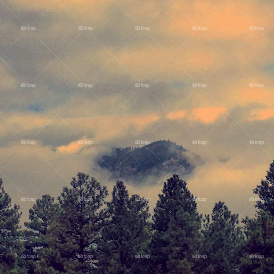 Misty Mountain 
