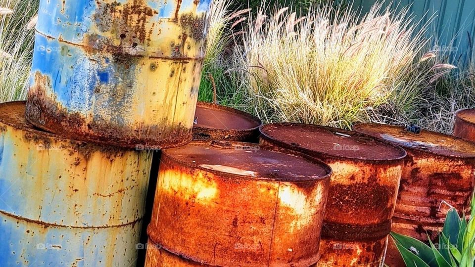 The beauty of rust and nature!