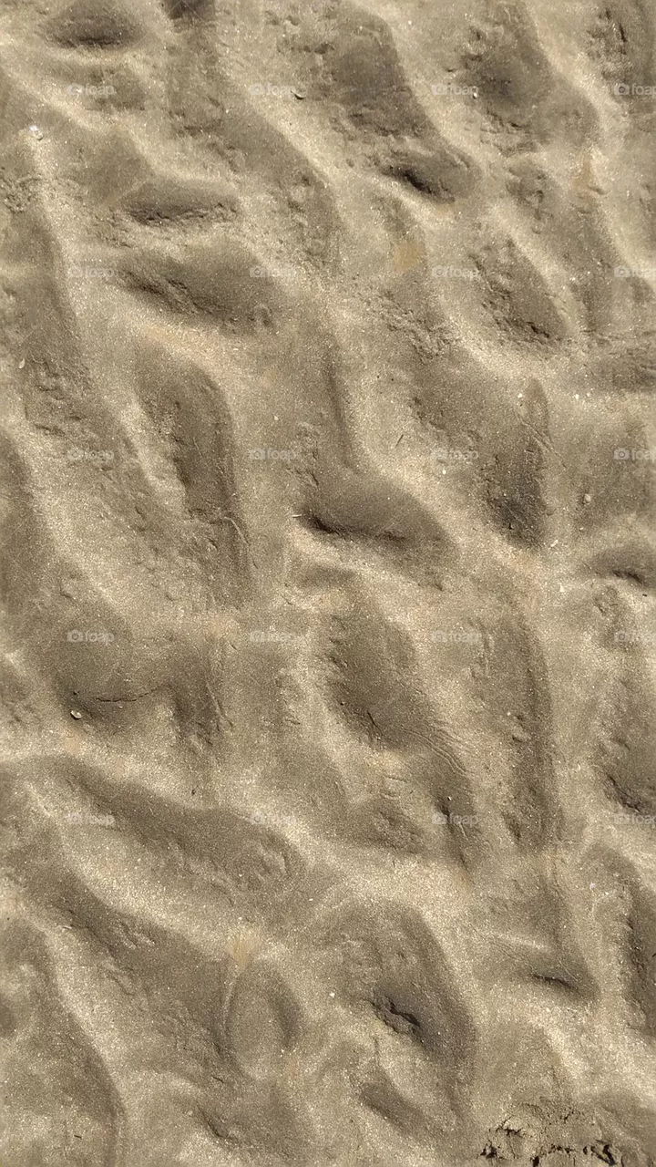 Golden Sands