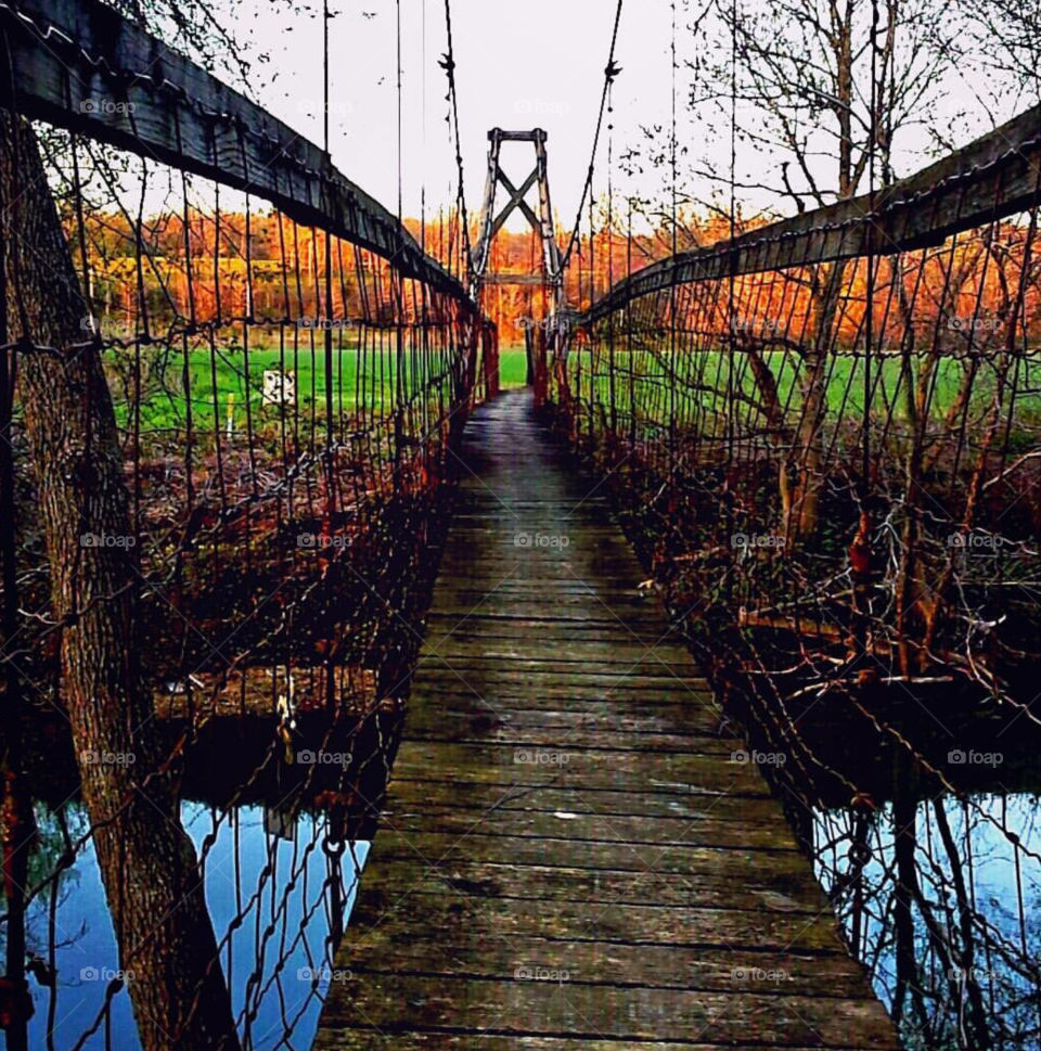 Bouncy Bridge