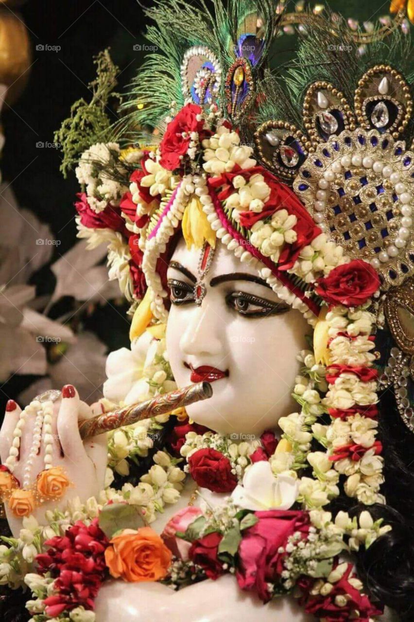 Lord shri krishna - is a major deity in Hinduism. He is worshiped as the eighth avatar of the god Vishnu and also as the supreme God in his own right. the god of compassion, tenderness, and love in Hinduism,-Iskon tample India.