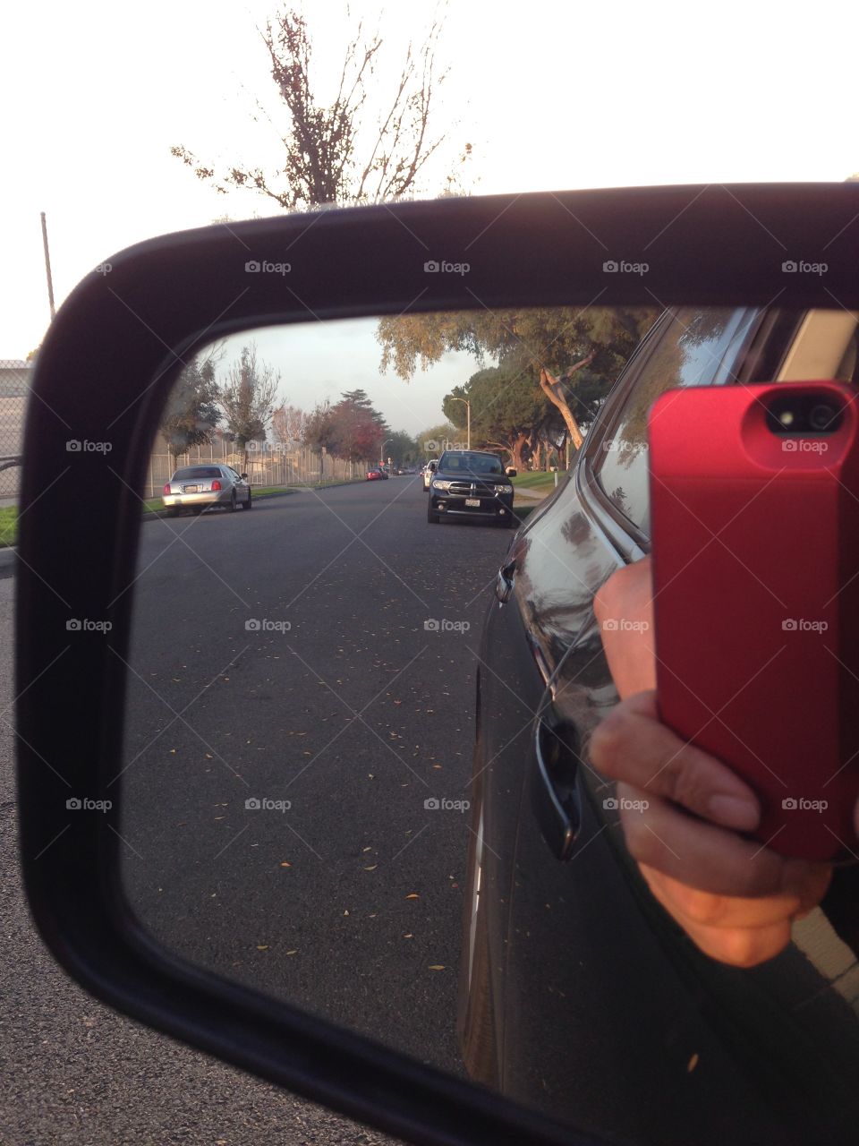 Red Protector

Published by:
HappyBrownMonkey 