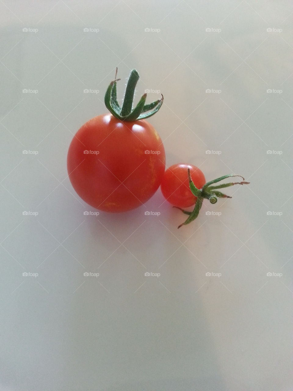 tomatoes. fruit