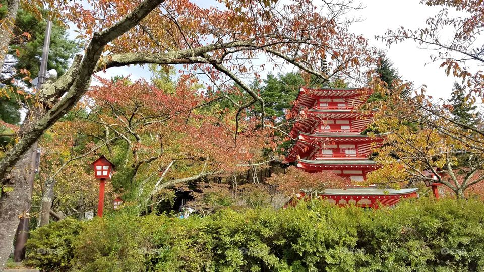 Beautiful Pagoda