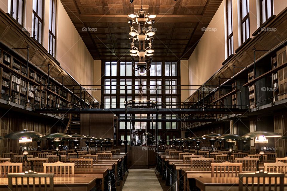 The Wonder of the Reading Room. 