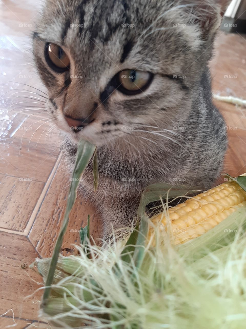 Ну   на  вкус   ничего   так!