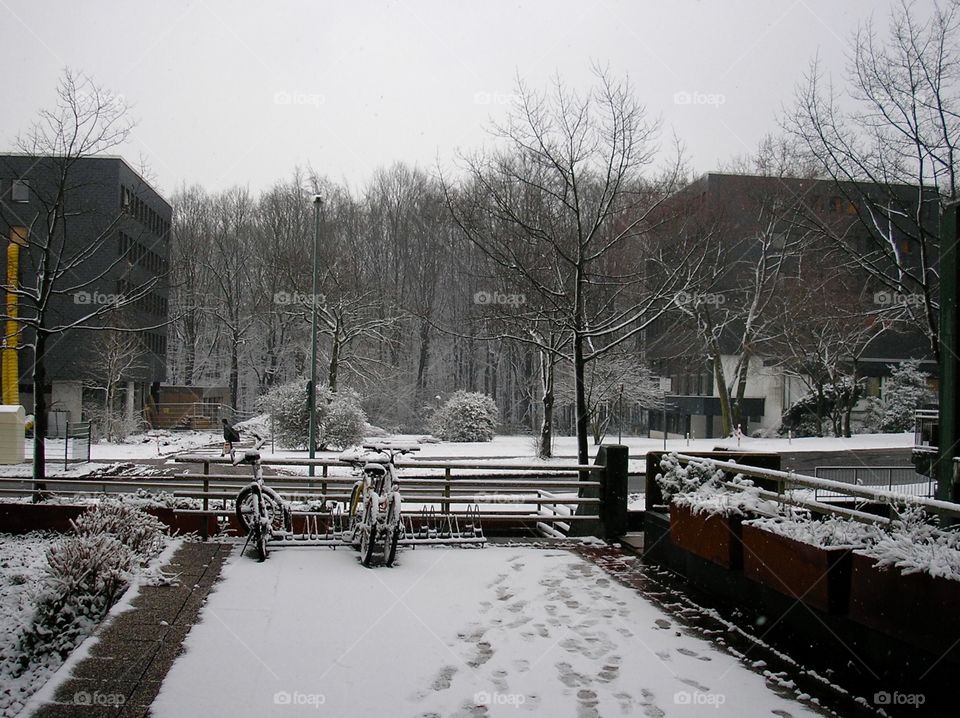 A very snowy wintertime in Campus in Bochum, Germany