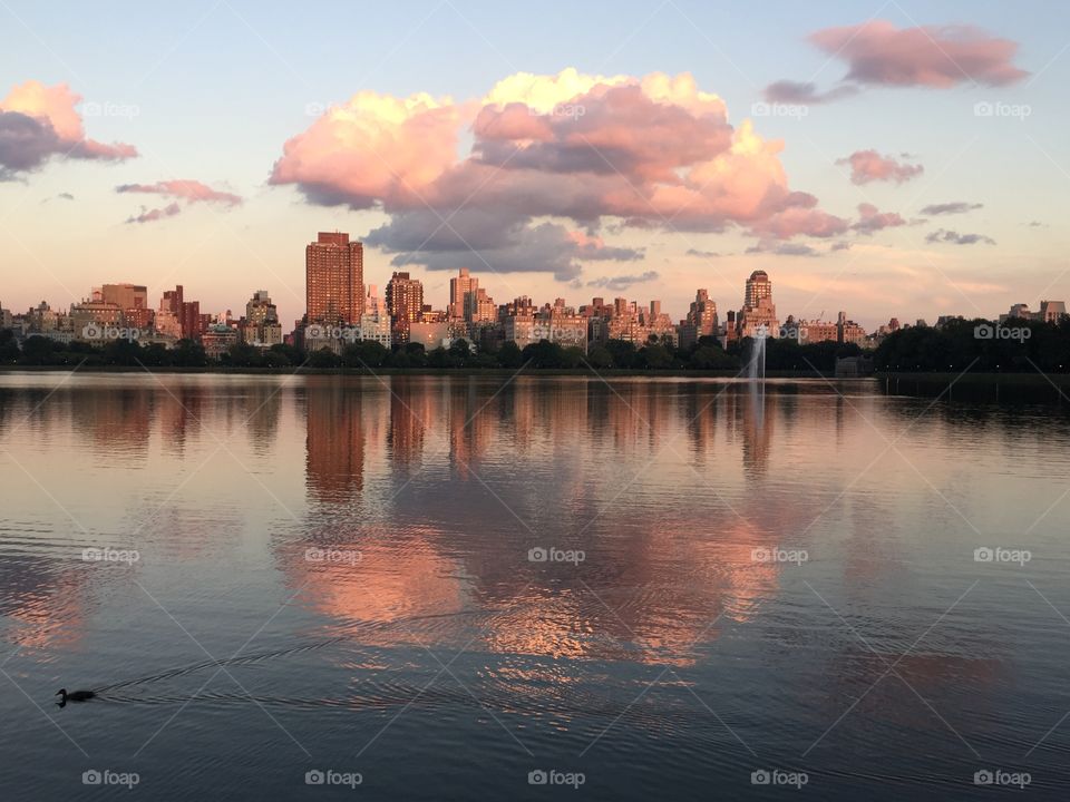 Sunset in Central Park, NYC