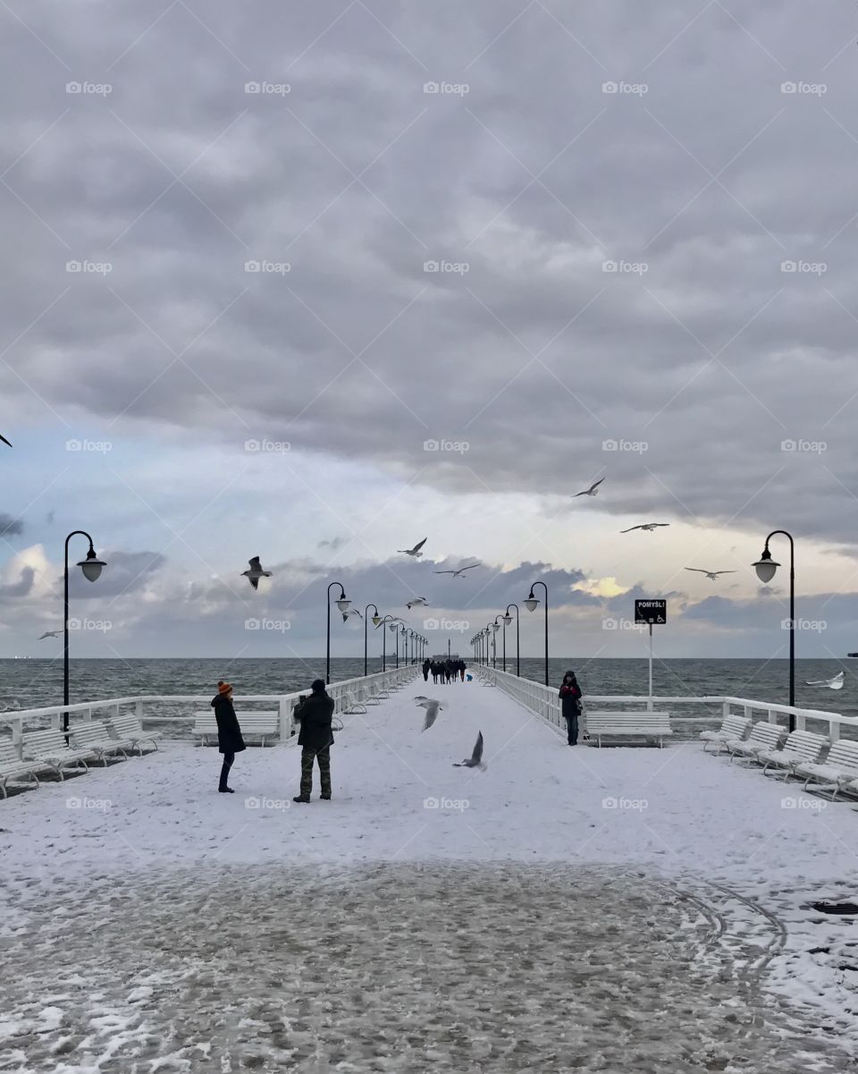 Winter in the sea