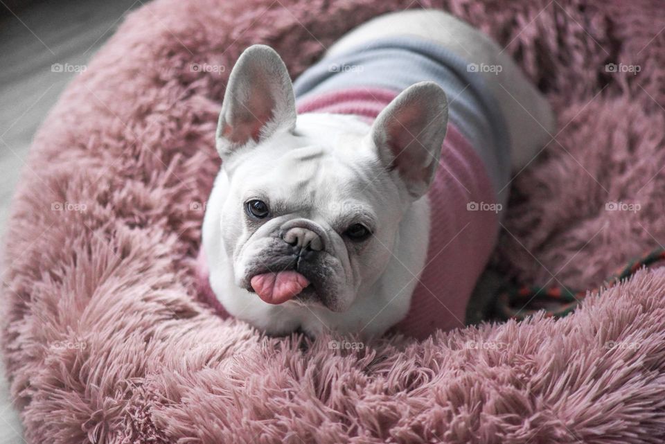 Our first baby in her baby pink outfit