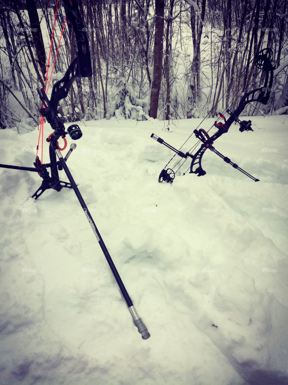 Two compoundbows resting in the snow