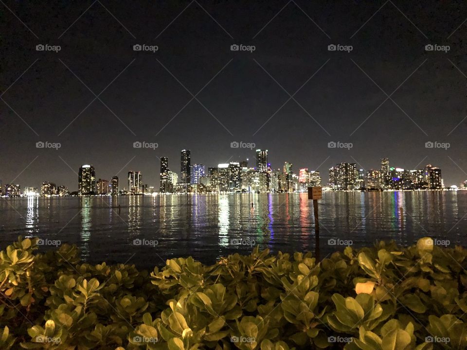 Miami lights 