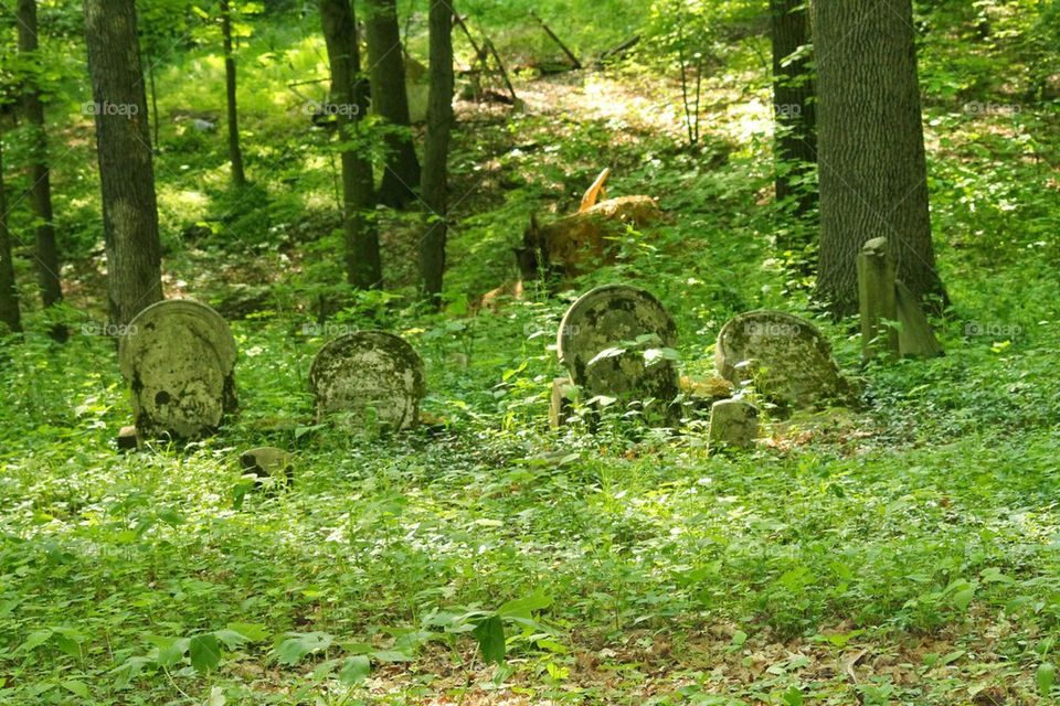 peaceful cemetery