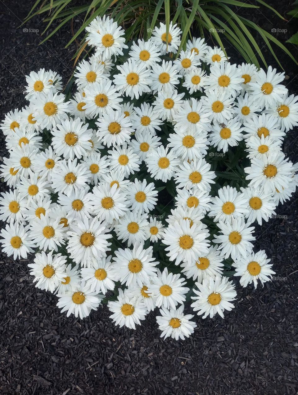 Summer Floral Bouquet