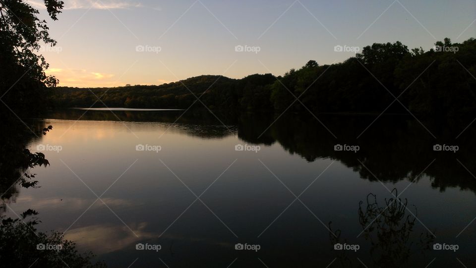 Radnor lake