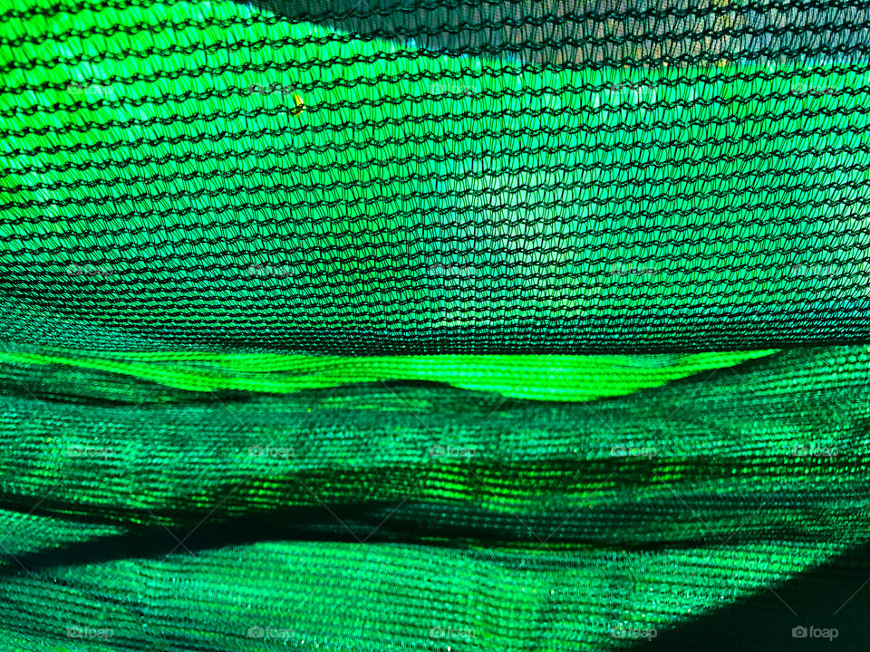 Green net