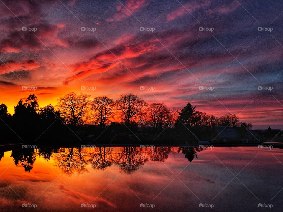 Pop of red colour in a sunset last night 