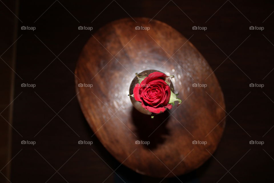 Red Rose in bottle